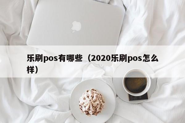 乐刷pos有哪些（2020乐刷pos怎么样）