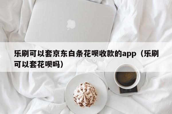 乐刷可以套京东白条花呗收款的app（乐刷可以套花呗吗）