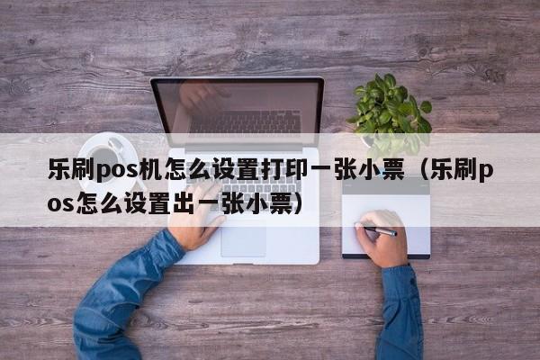 乐刷pos机怎么设置打印一张小票（乐刷pos怎么设置出一张小票）