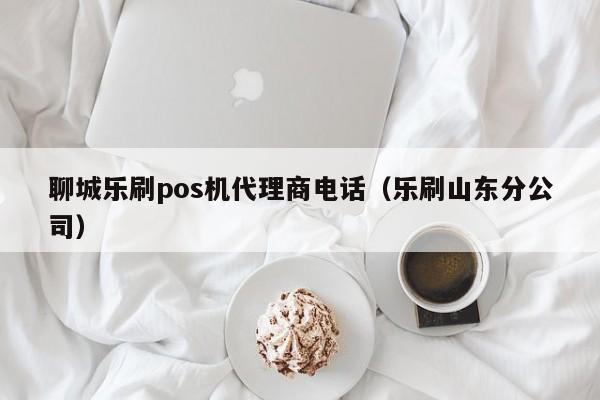 聊城乐刷pos机代理商电话（乐刷山东分公司）