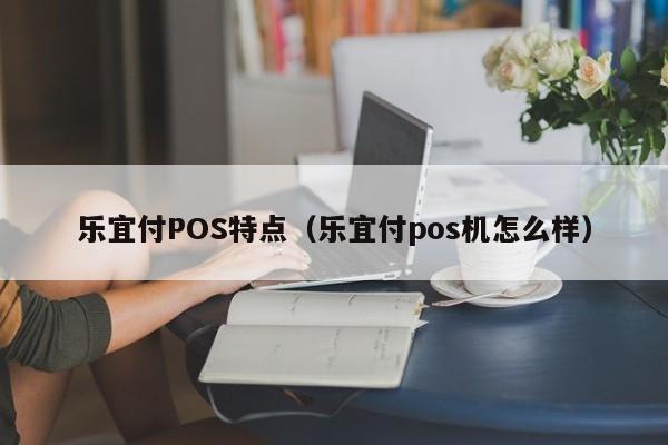 乐宜付POS特点（乐宜付pos机怎么样）