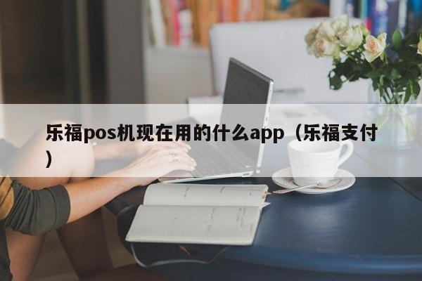 乐福pos机现在用的什么app（乐福支付）