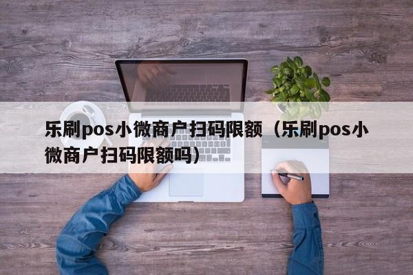 乐刷pos小微商户扫码限额（乐刷pos小微商户扫码限额吗）