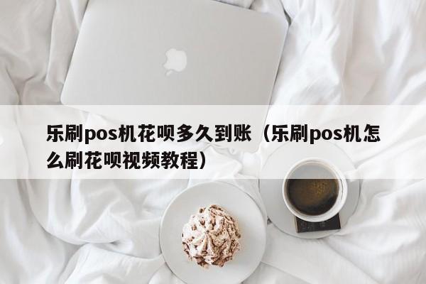 乐刷pos机花呗多久到账（乐刷pos机怎么刷花呗视频教程）