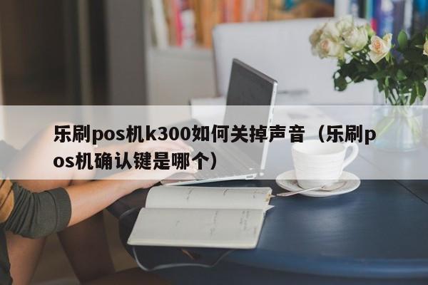 乐刷pos机k300如何关掉声音（乐刷pos机确认键是哪个）