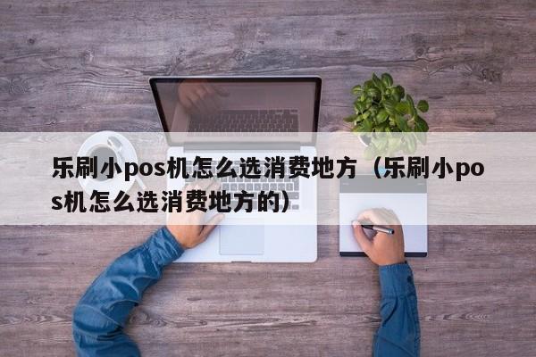 乐刷小pos机怎么选消费地方（乐刷小pos机怎么选消费地方的）