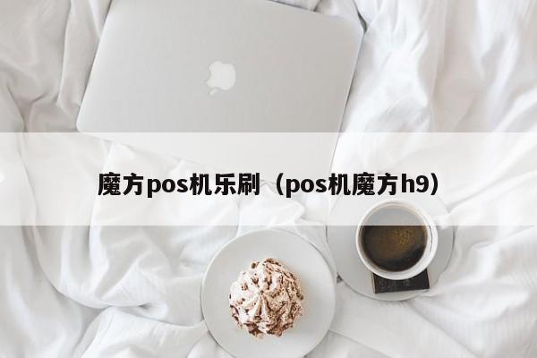 魔方pos机乐刷（pos机魔方h9）