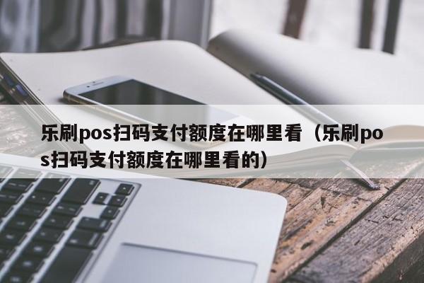 乐刷pos扫码支付额度在哪里看（乐刷pos扫码支付额度在哪里看的）