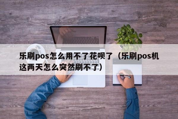 乐刷pos怎么用不了花呗了（乐刷pos机这两天怎么突然刷不了）