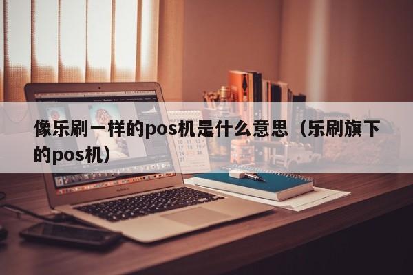 像乐刷一样的pos机是什么意思（乐刷旗下的pos机）