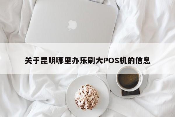 关于昆明哪里办乐刷大POS机的信息