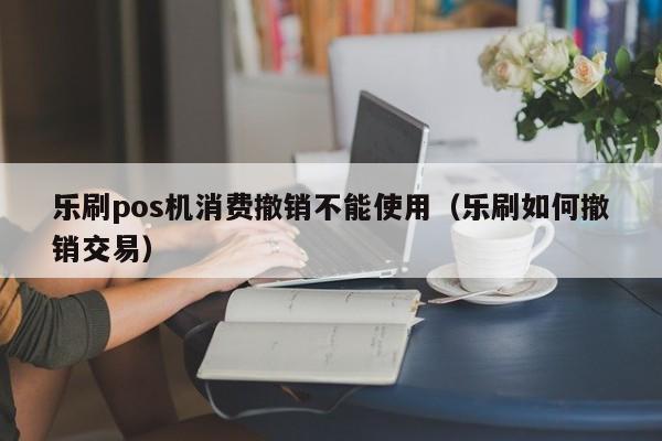 乐刷pos机消费撤销不能使用（乐刷如何撤销交易）