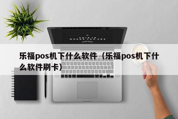 乐福pos机下什么软件（乐福pos机下什么软件刷卡）