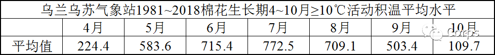 雹灾后补种棉花到底来不来的及？