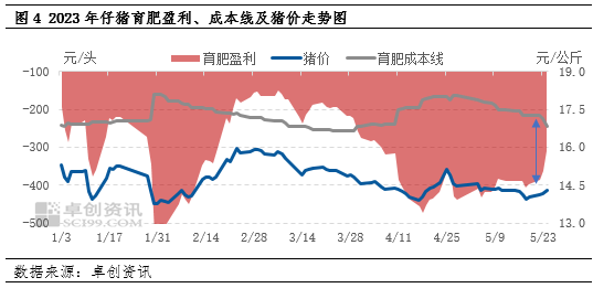 卓创资讯：5月仔猪价格“逆势上涨” 6月份或再涨难度加大