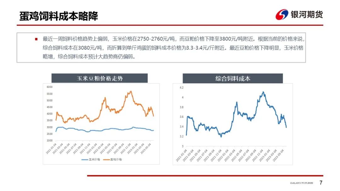 【鸡蛋周报】豆粕价格进一步下降 鸡蛋价格坚挺