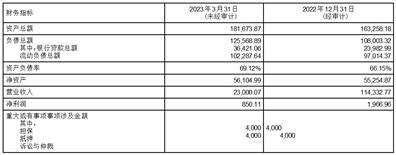 华达汽车科技股份有限公司关于为控股子公司申请银行授信额度提供担保的公告