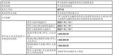 华宝政策性金融债债券型证券投资基金暂停大额申购（含定投及转换转入）业务的公告