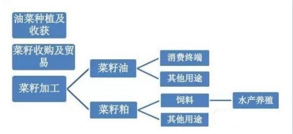 【期股联动】菜油主连上涨超3% 最新概念股一览！