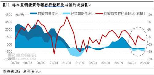 卓创资讯：仔猪外销由盈转亏、淘汰母猪需求增量 四季度产能淘汰或加速