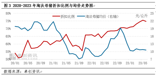 卓创资讯：仔猪外销由盈转亏、淘汰母猪需求增量 四季度产能淘汰或加速