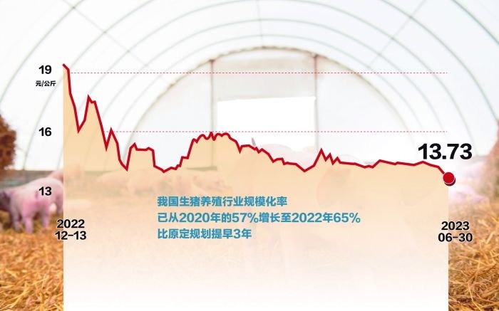 头部企业逆势扩张 生猪养殖业集中度快速提升