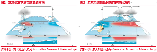 东海期货：厄尔尼诺现象及其对全球农作物的影响