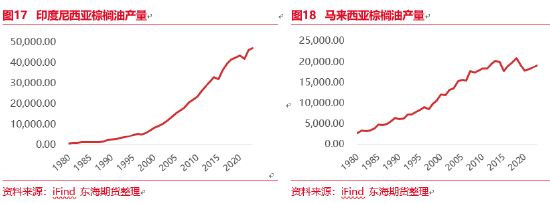 东海期货：厄尔尼诺现象及其对全球农作物的影响