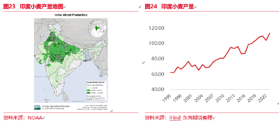 东海期货：厄尔尼诺现象及其对全球农作物的影响