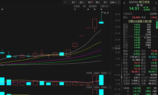 控股股东套现超8000万 浙江世宝股价五连板后大跳水