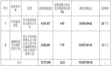 上海康鹏科技股份有限公司首次公开发行股票并在科创板上市发行结果公告