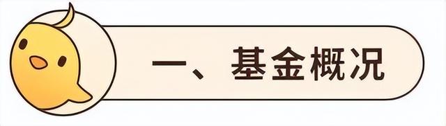 二季度刚结束，这只基金今年的业绩排第一了！