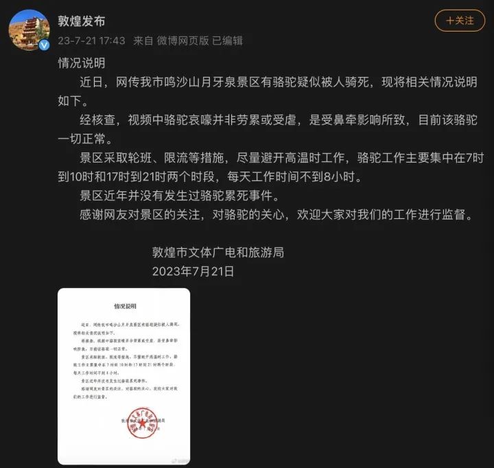 敦煌骆驼“上班”忙！业内人士：拉两年骆驼能赚一套房