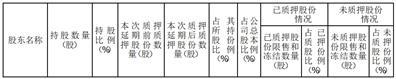 龙佰集团股份有限公司关于公司股东股份质押延期的公告