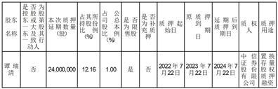 龙佰集团股份有限公司关于公司股东股份质押延期的公告