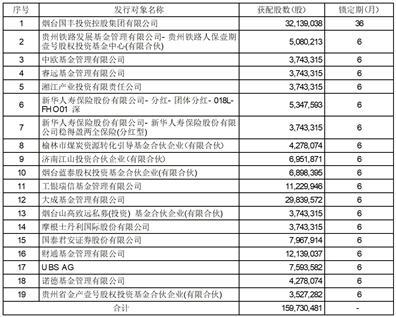 泰和新材集团股份有限公司关于非公开发行限售股解除限售暨上市流通的提示性公告