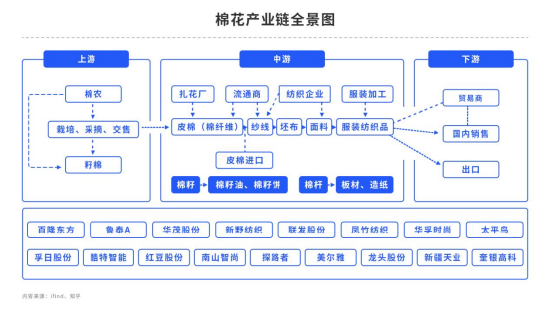 新疆面积单产双降，棉花今年沦为减产年！