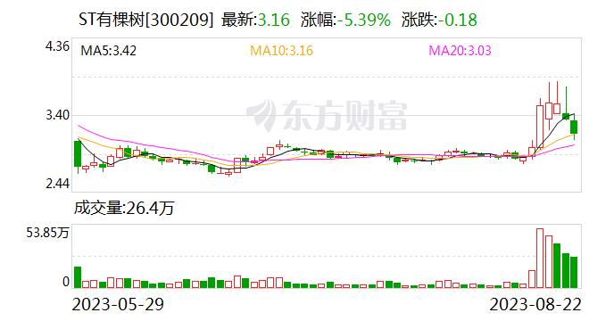 ST有棵树：跨境电商和软件服务业务有所缩减 上半年净亏损5928.62万元