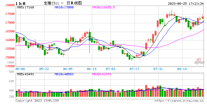 中信期货：日内异动品种点评——生猪