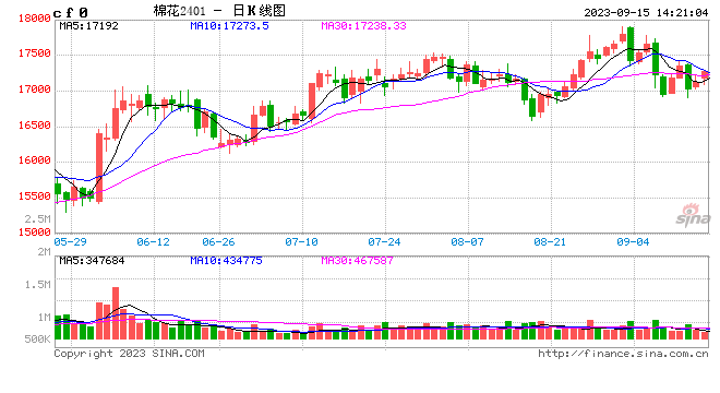 9月15日国内棉花最新价格行情